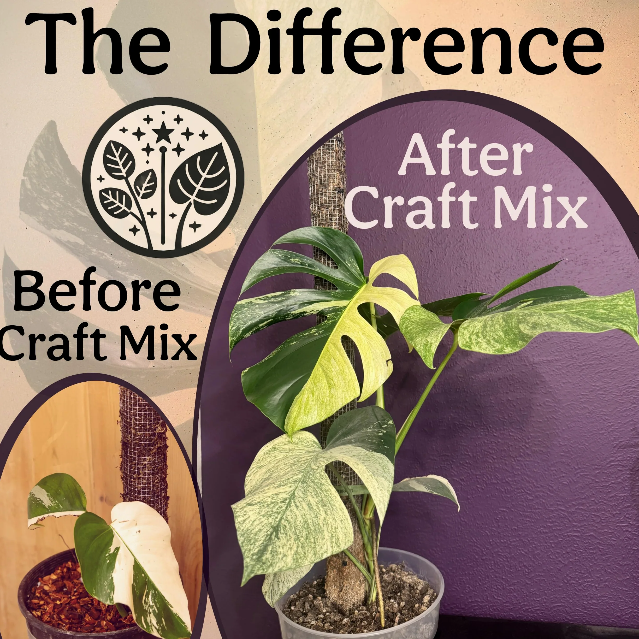 Craft Aroid Blumenerde - Elite Alocasia, Philodendron, Monstera Erde Mix, grobe, gut durchlässige Blumenerde für Zimmerpflanzen, alle tropischen Pflanzen & Zimmerpflanzen, Synthetisch