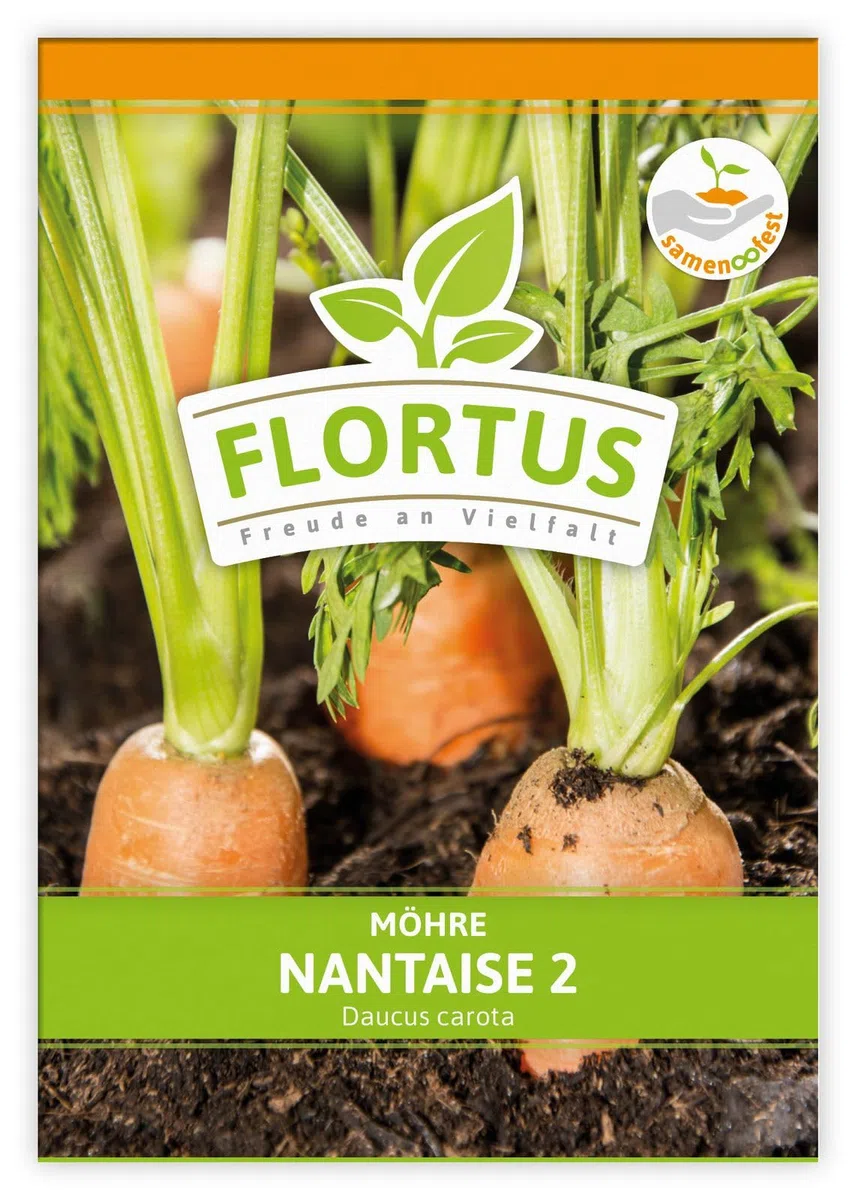 FLORTUS 2000-0472-100x Möhre Nantaise 2 (100 Stück) (Möhrensamen)