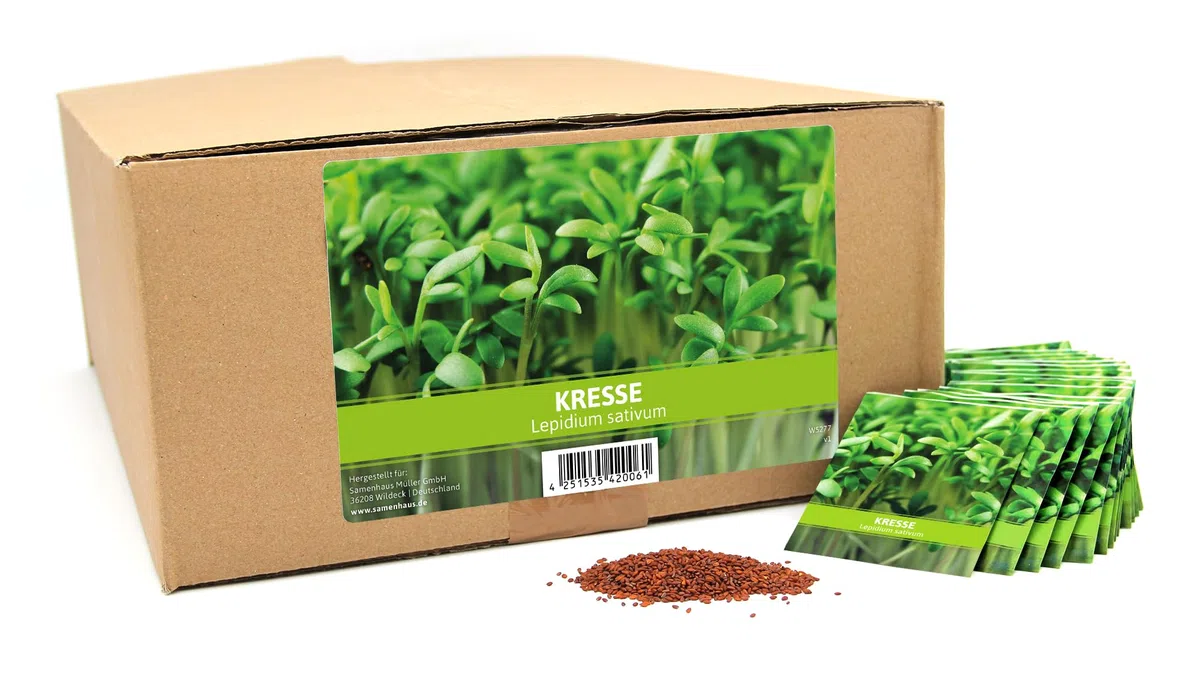 FLORTUS Kressesamen für Gastgeschenke (500 Stück) | Kleine Geschenktüten Sprossen Samen für Kresse als Dankeschön Geschenke & Werbegeschenke | Kräutersamen für Microgreens