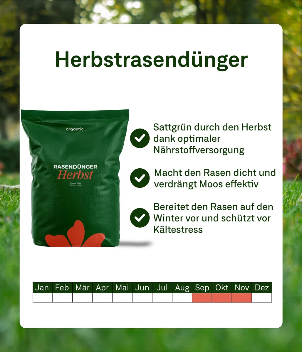 organtic Herbstrasendünger 20kg - Rasendünger mit Kalium für Herbst & Winter - Unterstützt sattgrünen Rasen, Moosverdrängung & starke Rasengräser - Für organische Rasenpflege im Garten