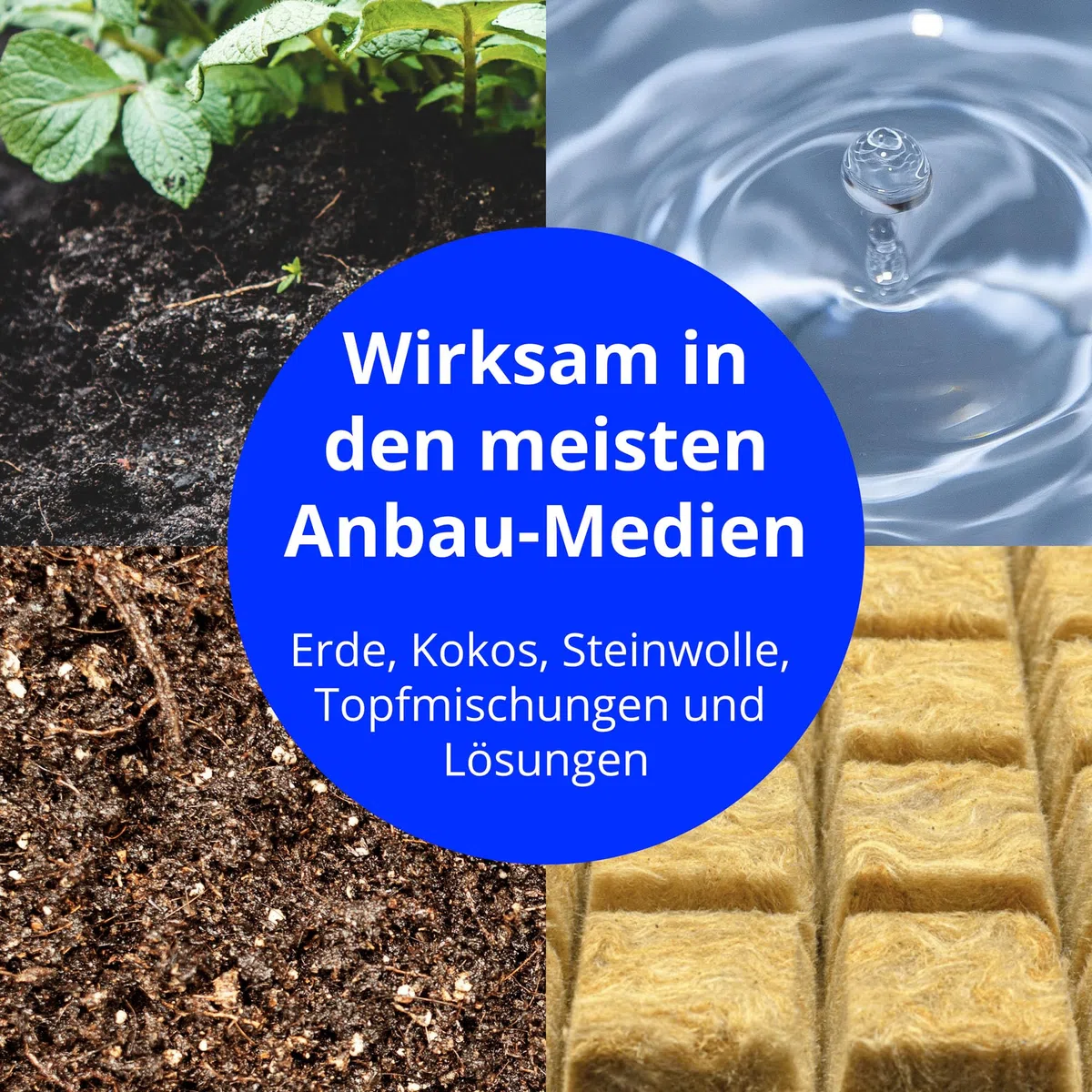 Bluelab PENSOILPH Soil pH-Pen, Digitales Messgerät und Wasser-Test-Kit, auch für Kokos und Rockwool mit einfacher Kalibrierung für Hydroponik-System und Indoor-Grow, klar