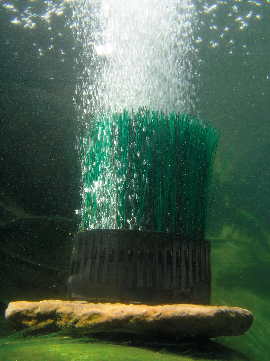 OASE 50290 Teichbelüfter OxyTex 1000 & 37125 Teichbelüfter AquaOxy 1000 geeignet für Teiche bis zu 10 m³ bzw. mit hohem Fischbesatz