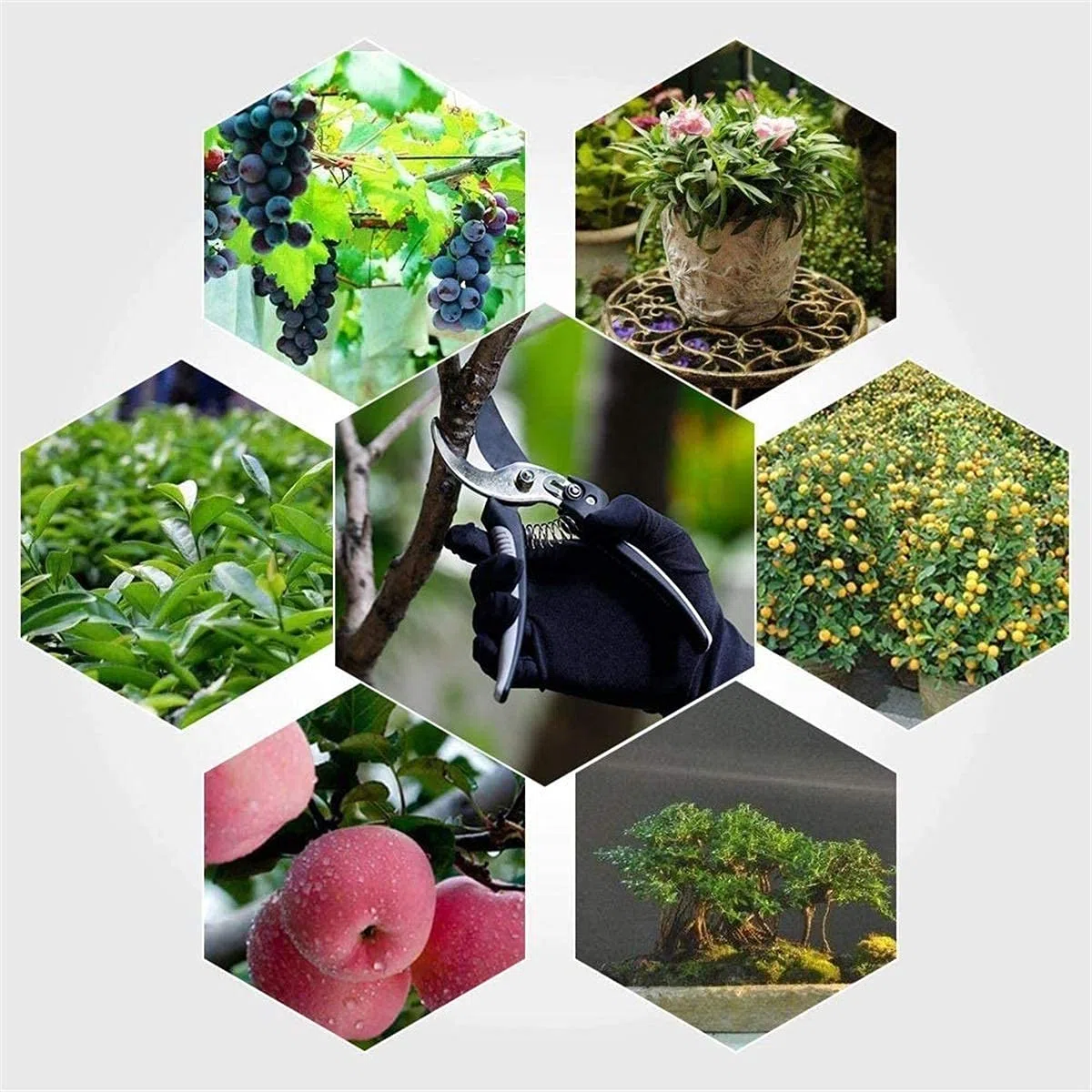 Gartenschere Baumschneider S Handschere Edelstahlklingen Professionelle Gartenschere Bypass S Mit Sk-5-Stahlklinge Und Verriegelung