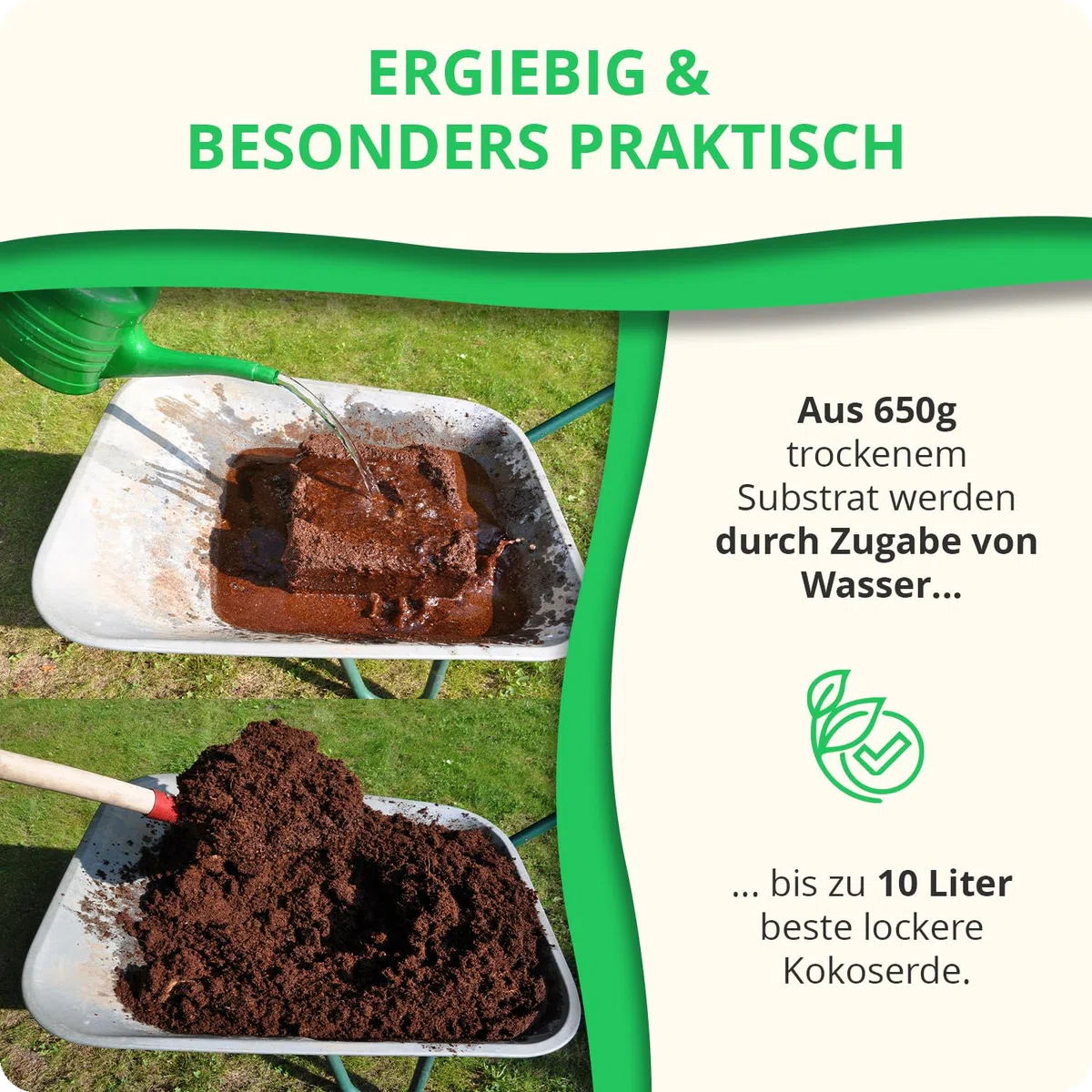 30x650g hochwertige Kokoserde für Pflanzen & Blumen | Block quillt zu 9L Pflanzenerde, torffreies Kokossubstrat, 100% natürliche Kokosfaser Erde mit pH 5,5–6,8