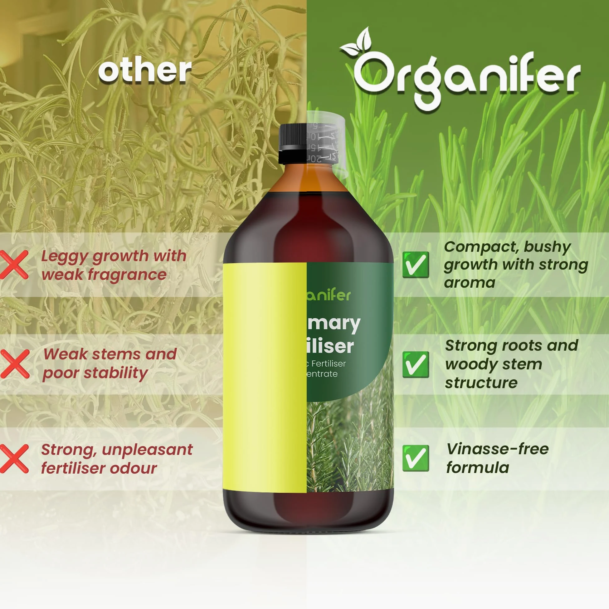 Flüssigdünger Für Rosmarin 3L – Organischer Dünger Für Kräftiges Wachstum Und Aromatische Blätter – Fördert Wurzeln Und Widerstandskraft – Organifer