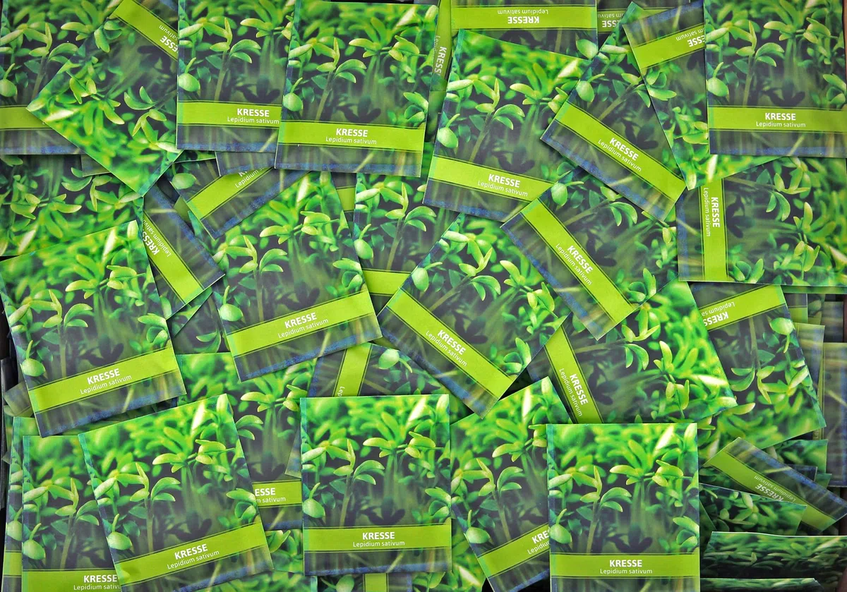FLORTUS Kressesamen für Gastgeschenke (500 Stück) | Kleine Geschenktüten Sprossen Samen für Kresse als Dankeschön Geschenke & Werbegeschenke | Kräutersamen für Microgreens