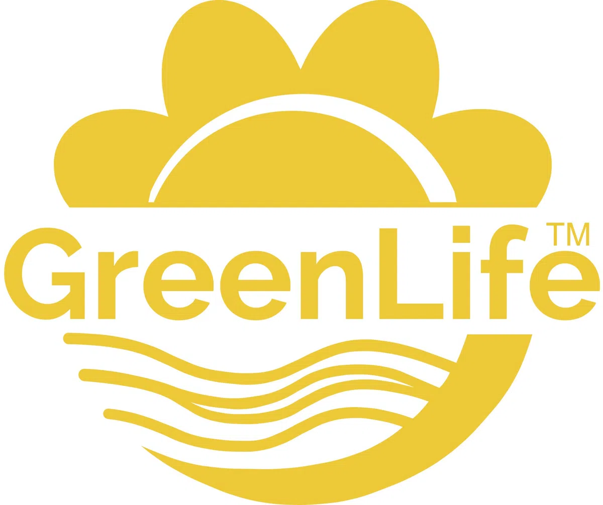 GreenLife Regenwasser-Flachtank 5.000 l m. Ausgleichsdom u. begehbarer Abdeckung Erdtank Wasserspeicher