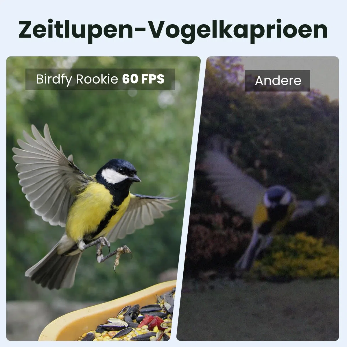Birdfy Smart Vogelfutterhaus mit Kamera für Anfänger, Solarbetriebener Vogelfutterautomat für den Außenbereich mit doppelter Nachtsicht, KI Vogelerkennung kostenlos, Zeitlupe und Schutzklasse IP66