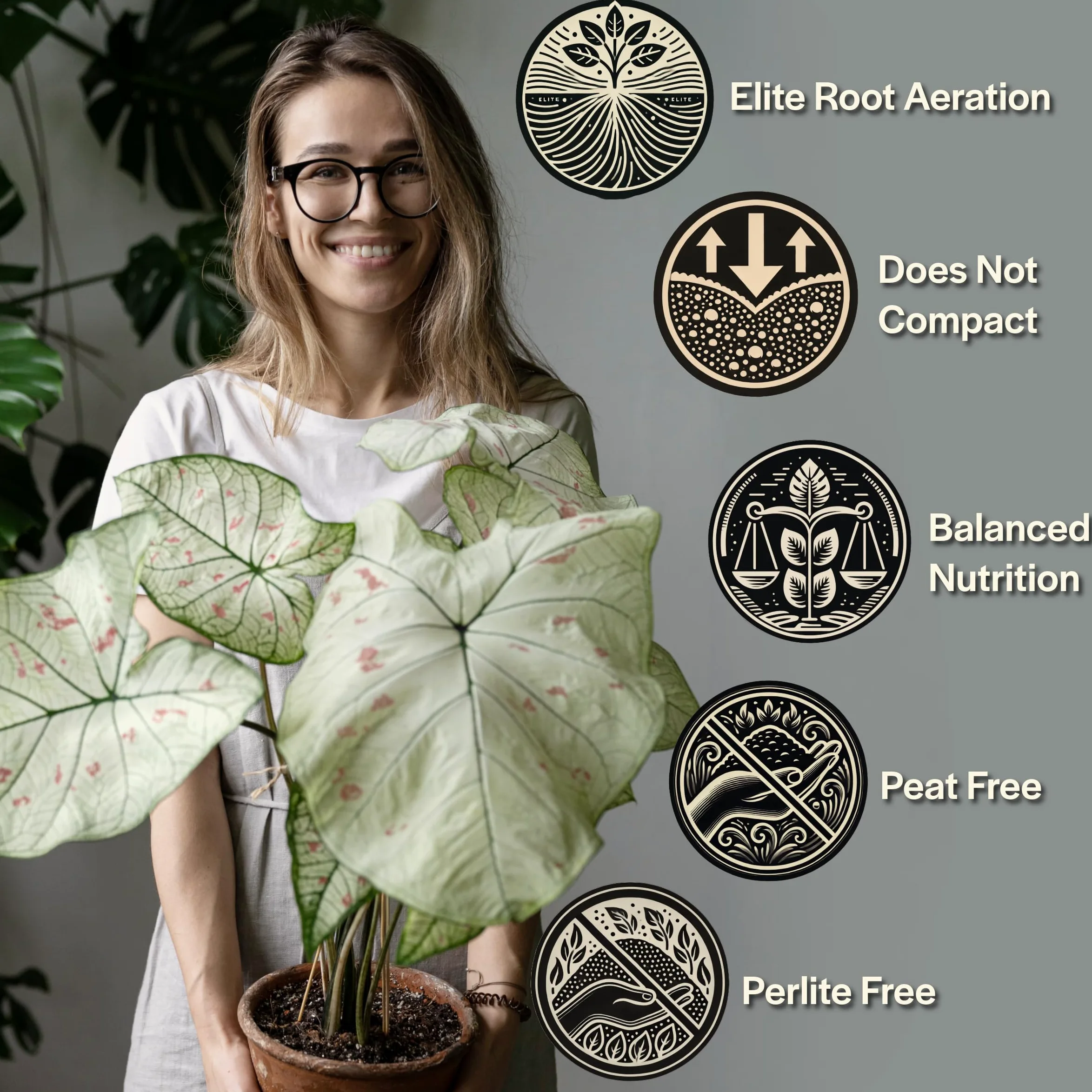 Craft Aroid Blumenerde - Elite Alocasia, Philodendron, Monstera Erde Mix, grobe, gut durchlässige Blumenerde für Zimmerpflanzen, alle tropischen Pflanzen & Zimmerpflanzen, Synthetisch