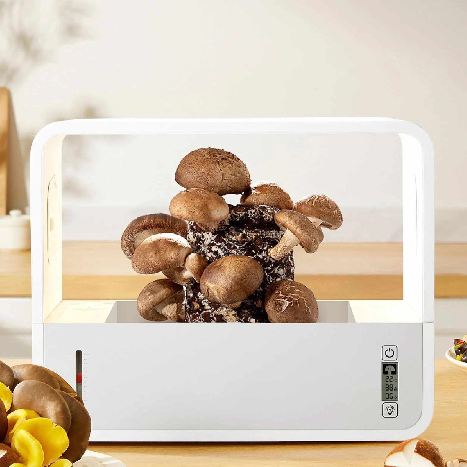 SIXRUN Pilzzuchtbox, Smart Soilless mit Transparenter Sicht, Automatischer LED-Beleuchtung, Airbox für Indoor-Gartenarbeit, USB