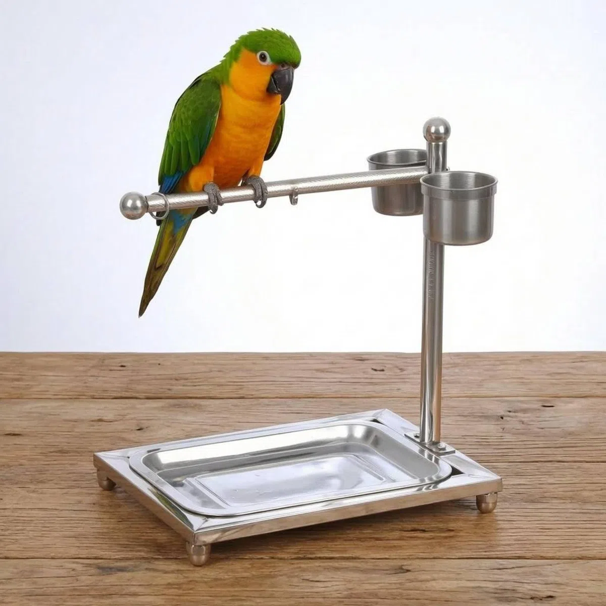 Colcolo Vogel Trainingsstand Edelstahl Vogel Ständer Papageien Sitzstange Futterstation Abnehmbare Konstruktion für Vogelpflege Tägliche Aktivität Haustierbedarf, 49x38x77