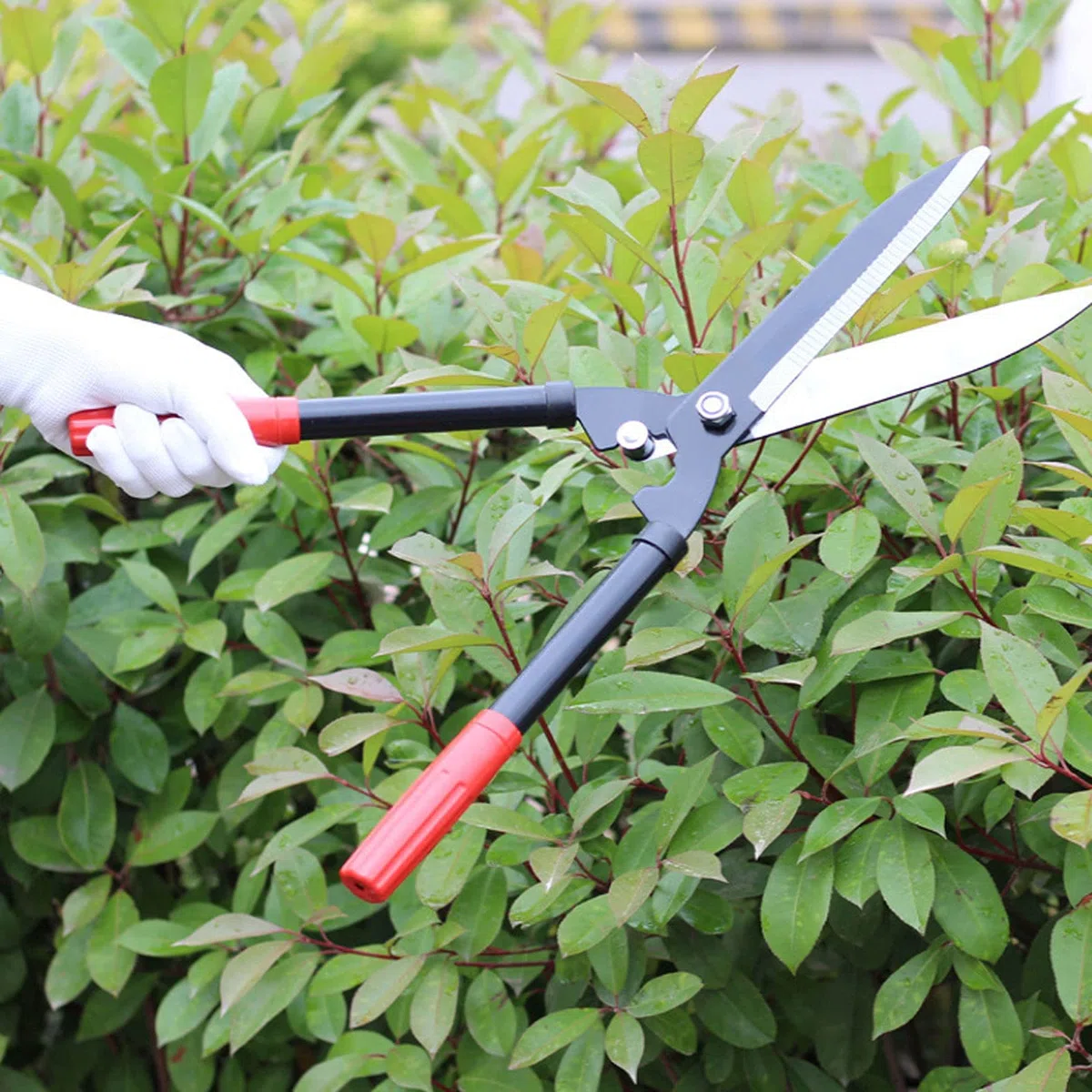 Heckenschere Gartengeräte Garten, Klinge Starke Aluminiumgriffe Manuelle Heckenschere Zum Beschneiden Von Rabatten Formgehölze Buchsbaum Dekorative Gräser,