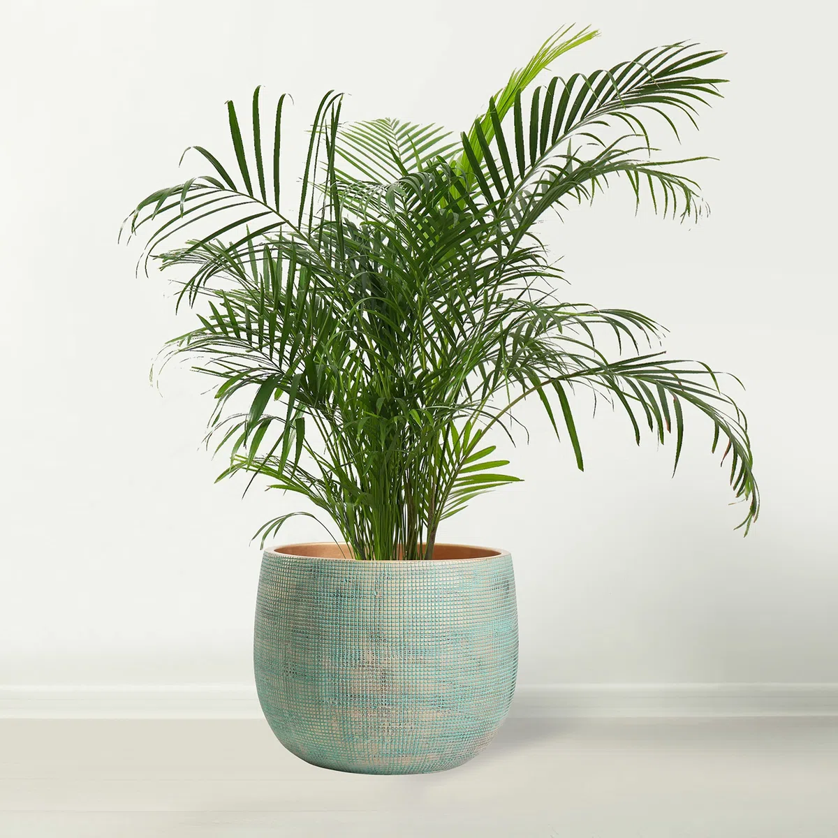 Olly & Rose Bali Pflanzgefäß aus Keramik, groß, 25 cm, für drinnen und draußen, Grün/Gold