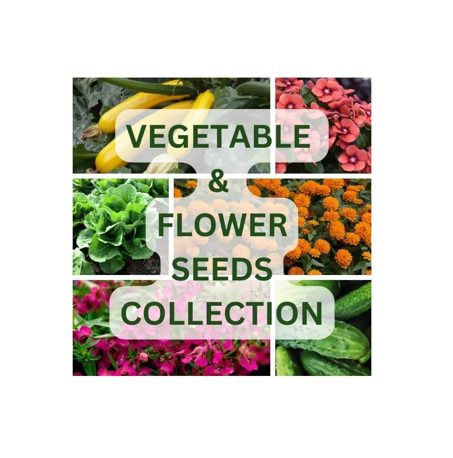 Nojus - Blumen- und Gemüsesamenmischung – 50 Sorten, verpackt in luftdichten Beuteln - Garten Samen Sortenbox - 50 Packen Gemüsesamen, Blumensamen - Verschieden Pflanzensamen Starter Kit