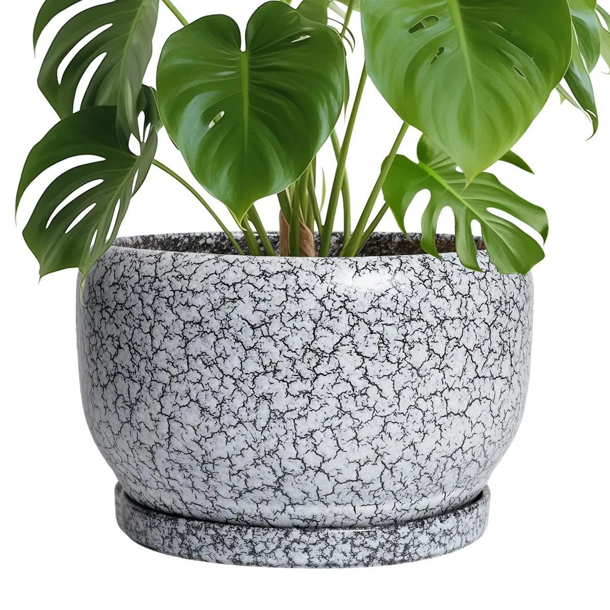 SQOWL Keramik-Pflanzgefäße – 25,4 cm Keramik-Blumentopf mit Ablaufloch und Untersetzer, dekorativer Blumentopf für den Innenbereich, runder großer Übertopf für den Außenbereich, Badezimmer-Dekor