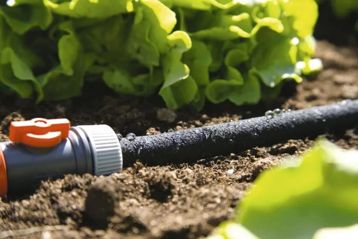 Gardena Perl-Regner Schlauch: Erweiterung für bestehende Leitungen, wassersparender Regner für Bewässerung von Pflanzenreihen und Beeten, längenanpassbar, 100 m (1987-22)