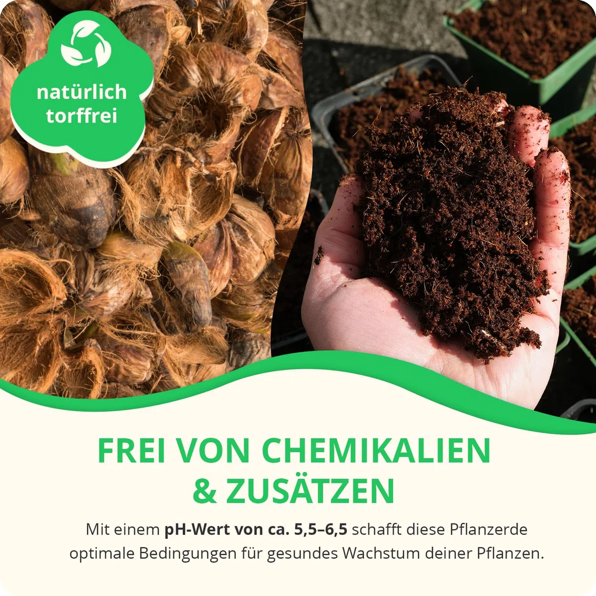 30x650g hochwertige Kokoserde für Pflanzen & Blumen | Block quillt zu 9L Pflanzenerde, torffreies Kokossubstrat, 100% natürliche Kokosfaser Erde mit pH 5,5–6,8