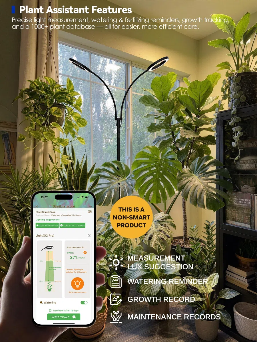 GLOWRIUM Grow Lights für Zimmerpflanzen, 20W Vollspektrum LED Grow Light Stehlampe mit Ständer Einstellbare Höhe und Winkel, Schwarz Pflanzenlicht mit 3/9/12H Grow Light Timer (White, 36W)
