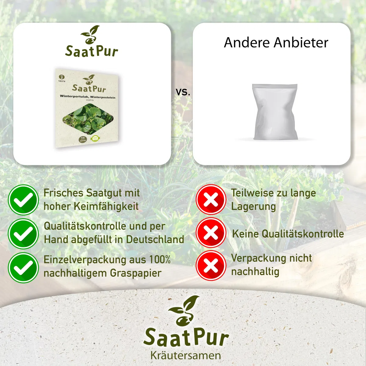 SaatPur Winterportulak Samen, Saatgut - Kleines Tray mit 25 Portionstüten für je ca. 1500 Pflanzen