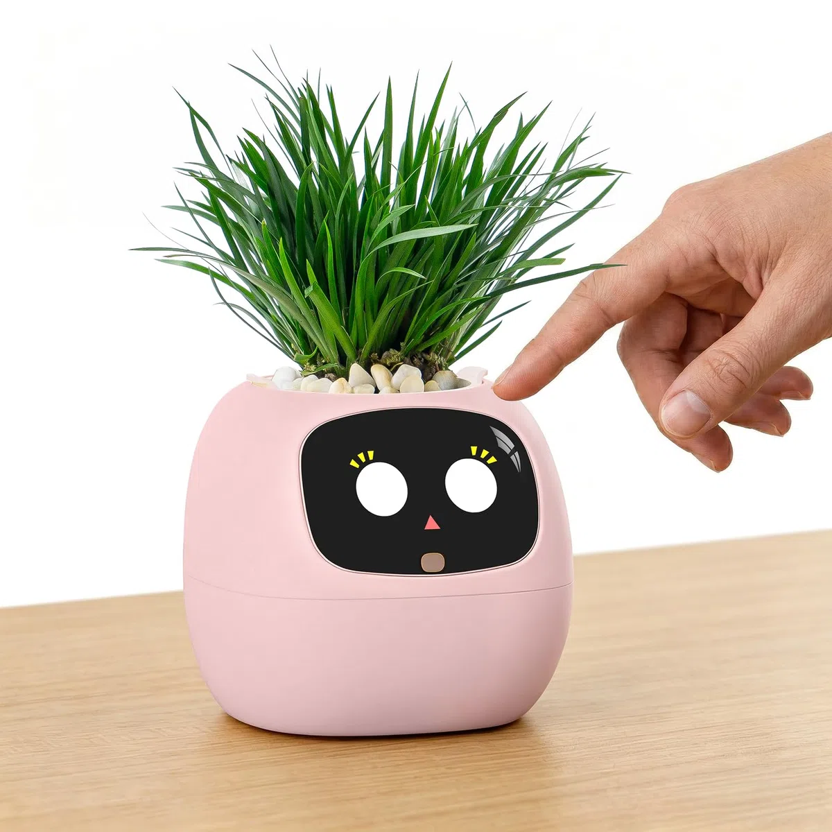 PLANTSIO Ivy Interaktiver KI-Schreibtisch-Begleiter, intelligentes Pflanzentier mit über 100 Ausdrücken, niedlicher Indoor-Pflanztopf für Bürodekoration, einzigartiges Geschenk für Pflanzenliebhaber