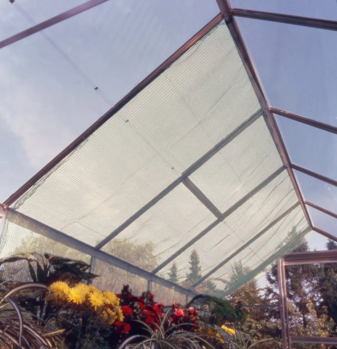 Vitavia Schattiergewebe/Schattennetz Gewächshäuser,weiß,259 x 183 cm
