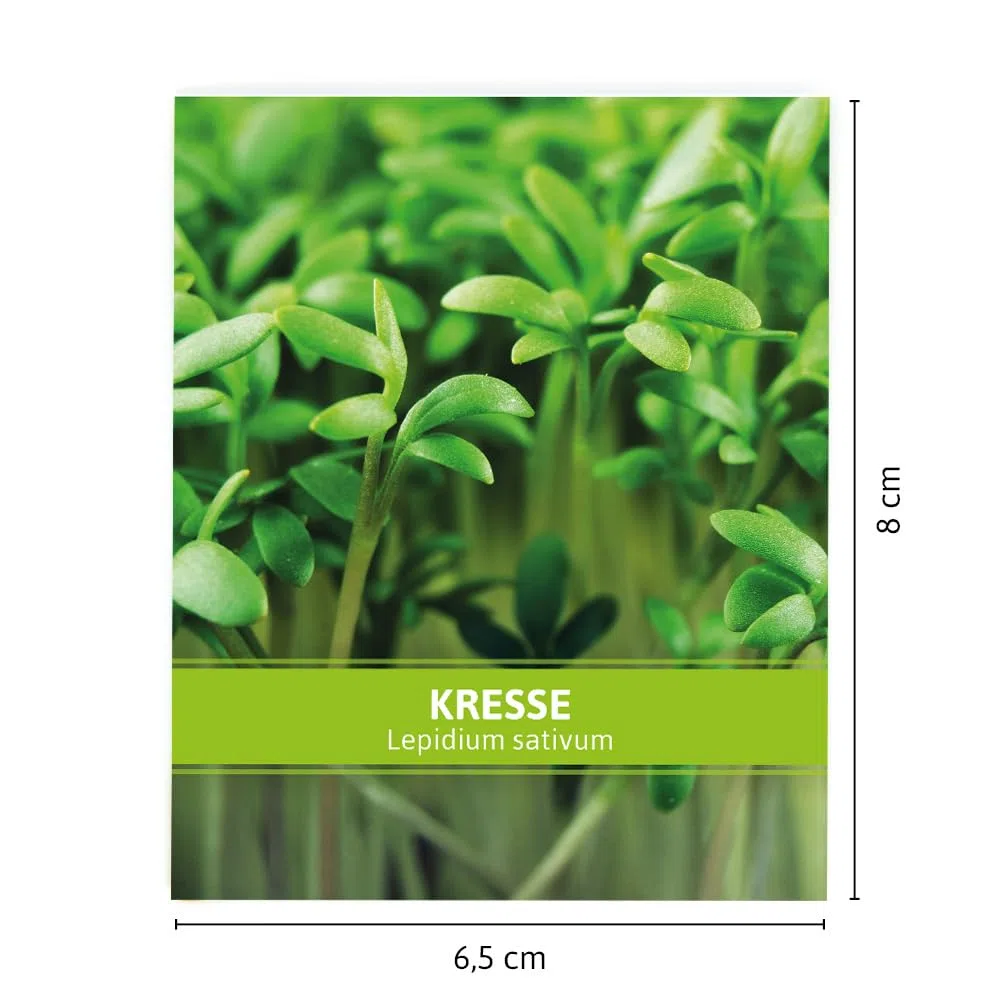 FLORTUS Kressesamen für Gastgeschenke (500 Stück) | Kleine Geschenktüten Sprossen Samen für Kresse als Dankeschön Geschenke & Werbegeschenke | Kräutersamen für Microgreens