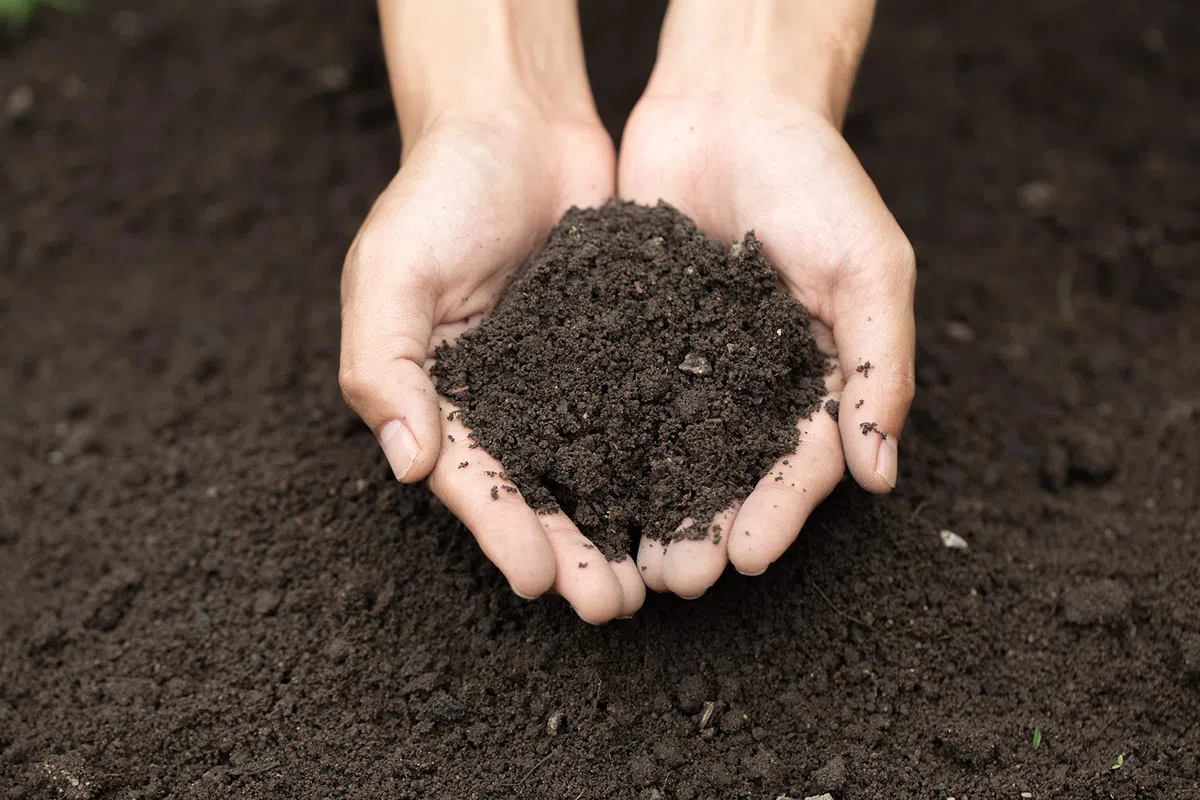 2520L Aussaaterde/Universalerde mit Langzeitdünger und einem Anteil Perlite für einen lockeren Boden Gartenerde Pflanzenerde 36 Säcke a 70L