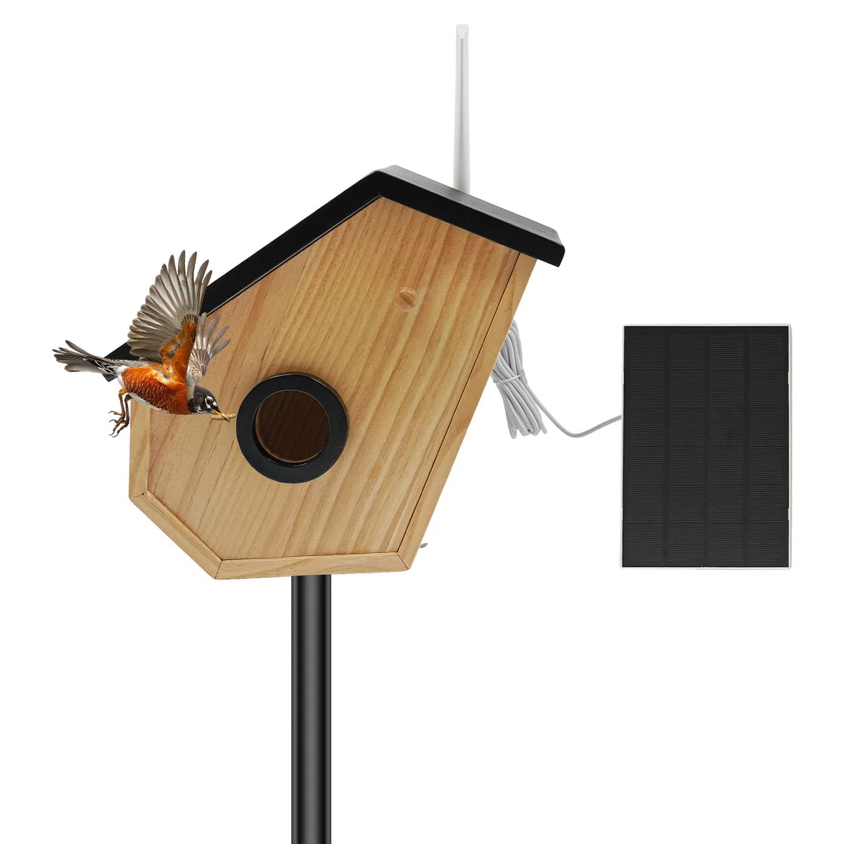 Kiefernholz Vogelhaus mit Kamera,Solarbetrieb,Bird Feeder Camera,KI-Vogelerkennung,Nachtsicht (Farbe/Infrarot),HD-Überwachung,für Volieren,Bauernhöfe,Gärten, Balkone