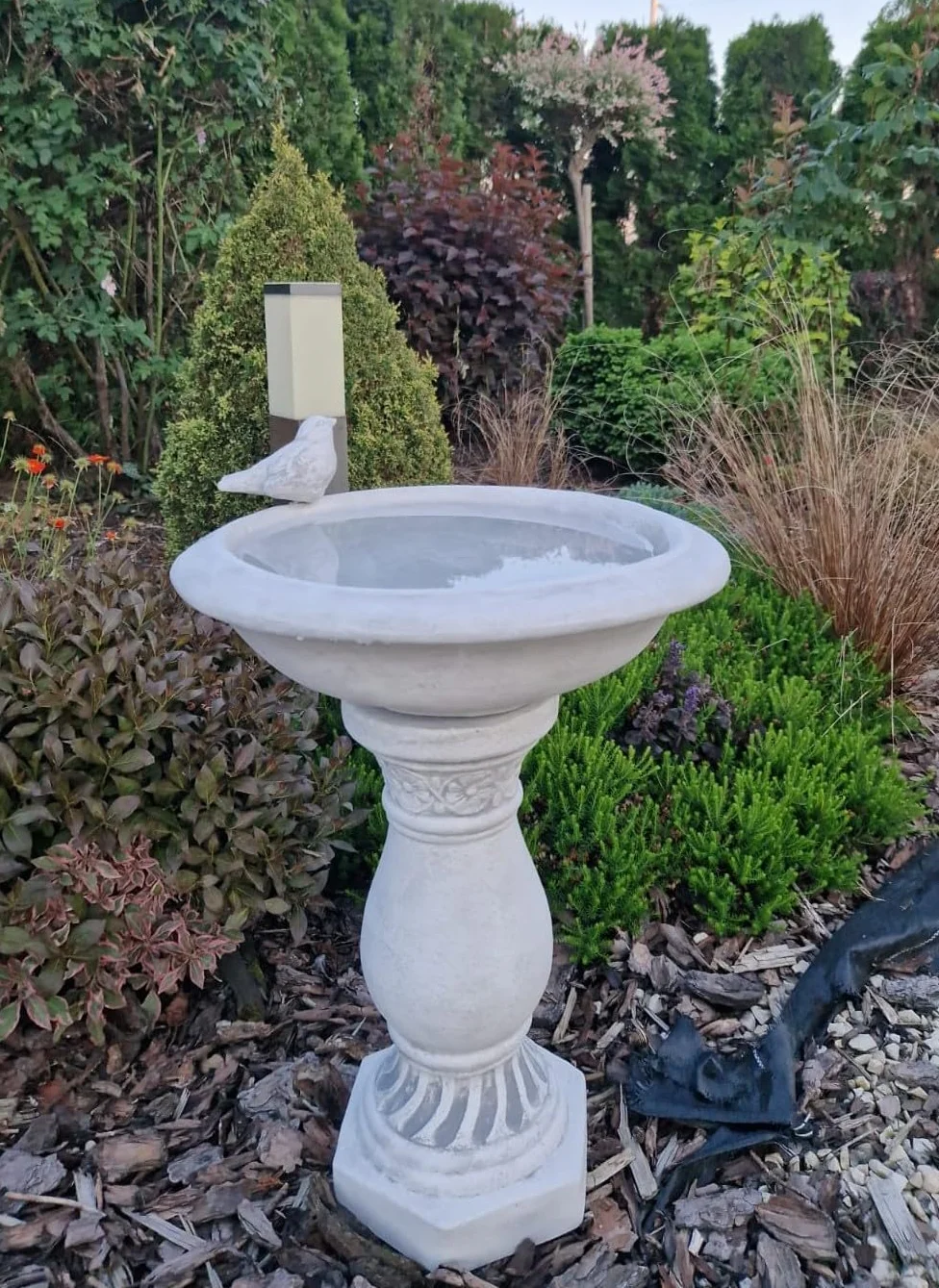 Green Lane Garden Antikes Vogelbad auf Einer dekorativen Säule