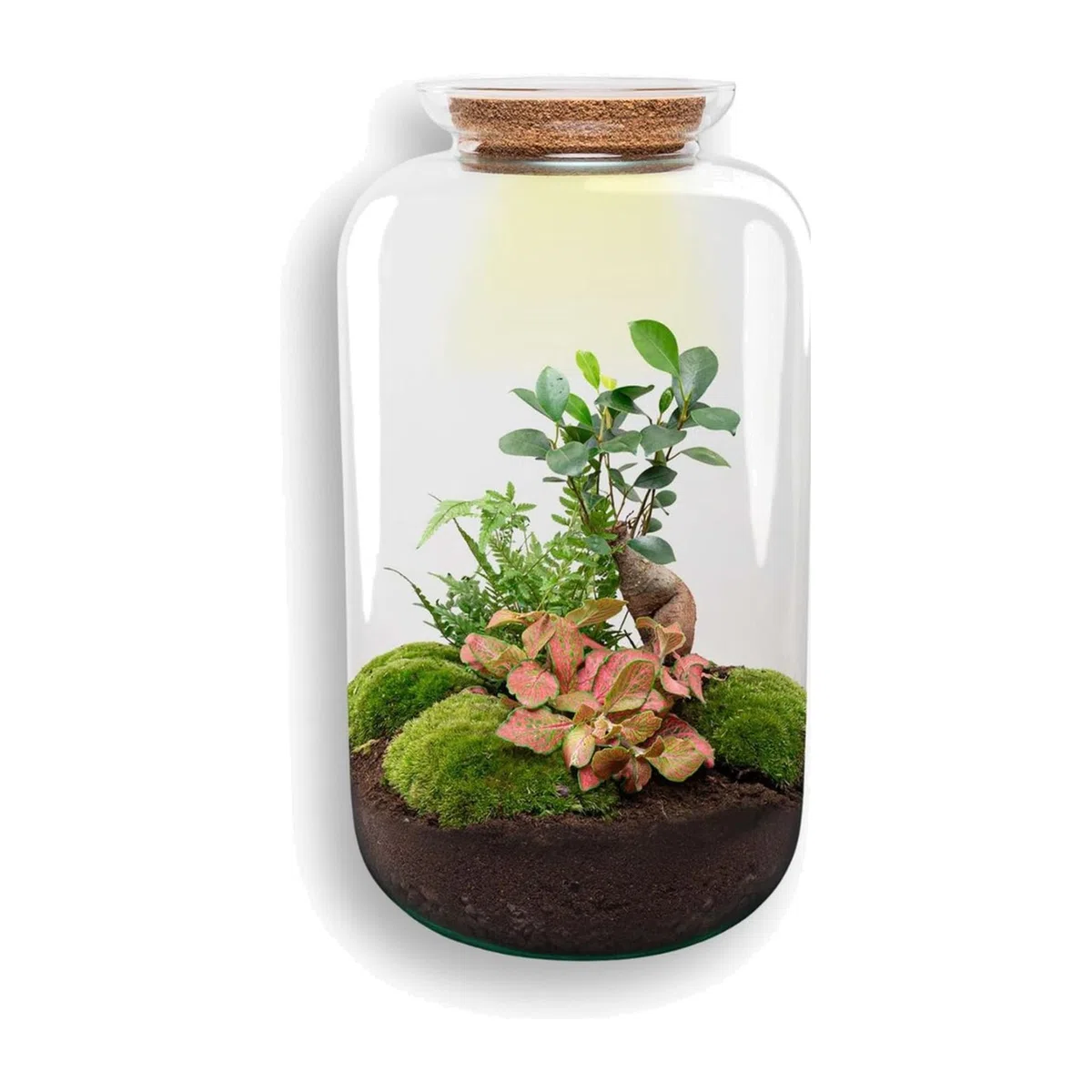 DIY Terrarium aus Glas, Flaschengarten mit Beleuchtung, Grün, H 43 cm