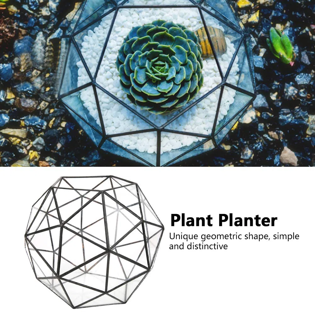 Geometrischer Glas-Blumentopf, 23 x 23 x 19 cm / 9,1 x 9,1 x 7,5 Zoll, eleganter Glas-Pflanzgefäß-Behälterhalter, vertikales Terrarium-Display für Garten, Büro, Schreibtisch