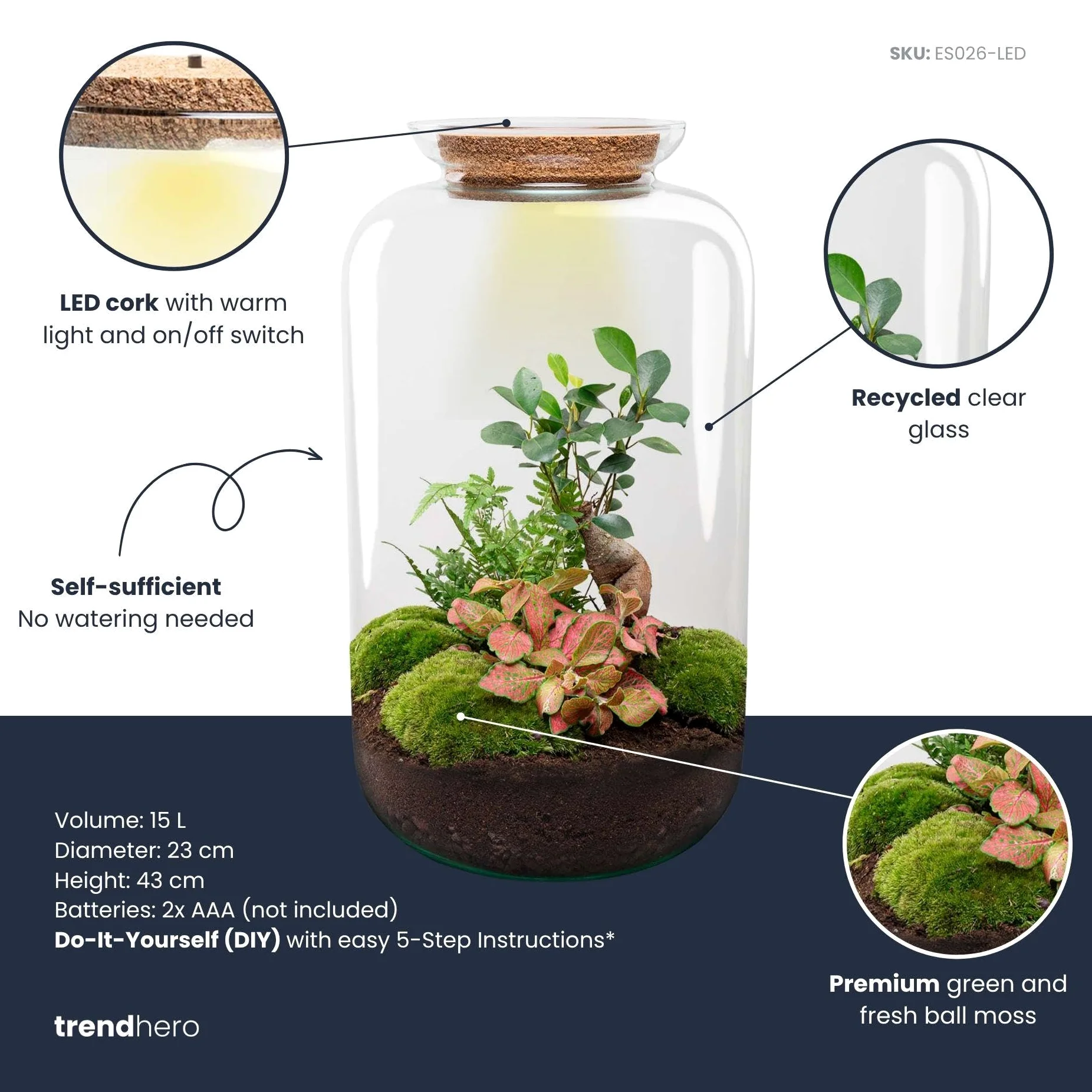 DIY Terrarium aus Glas, Flaschengarten mit Beleuchtung, Grün, H 43 cm