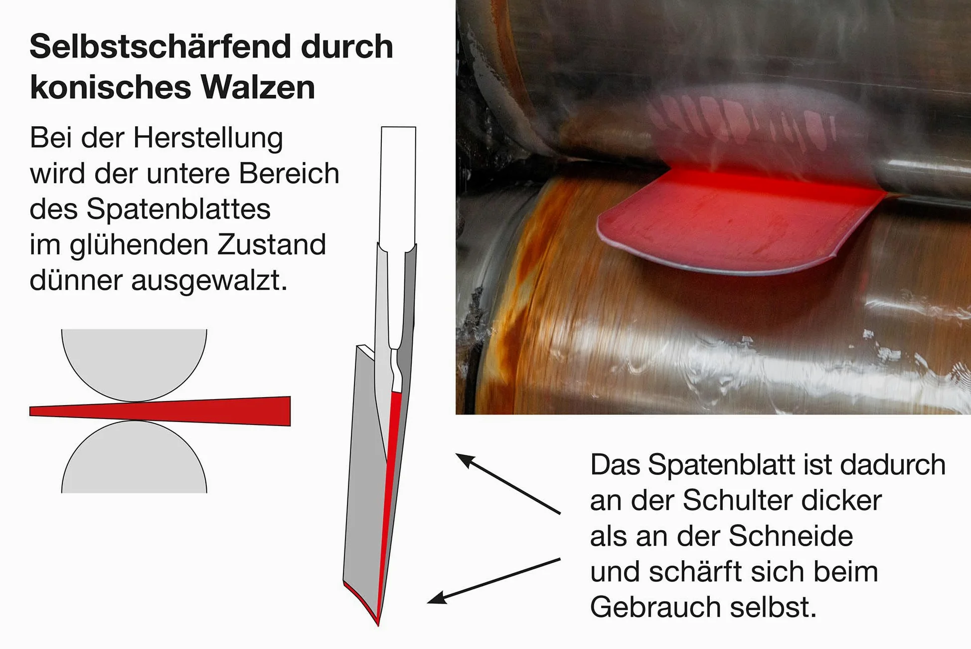 IDEAL-Spaten Gärtner Form | für mittelfeste, leicht steinige Böden | feinpolierter Doppelfederspaten, selbstschärfend, mit Tritt, Eschen-T-Stiel 85 cm