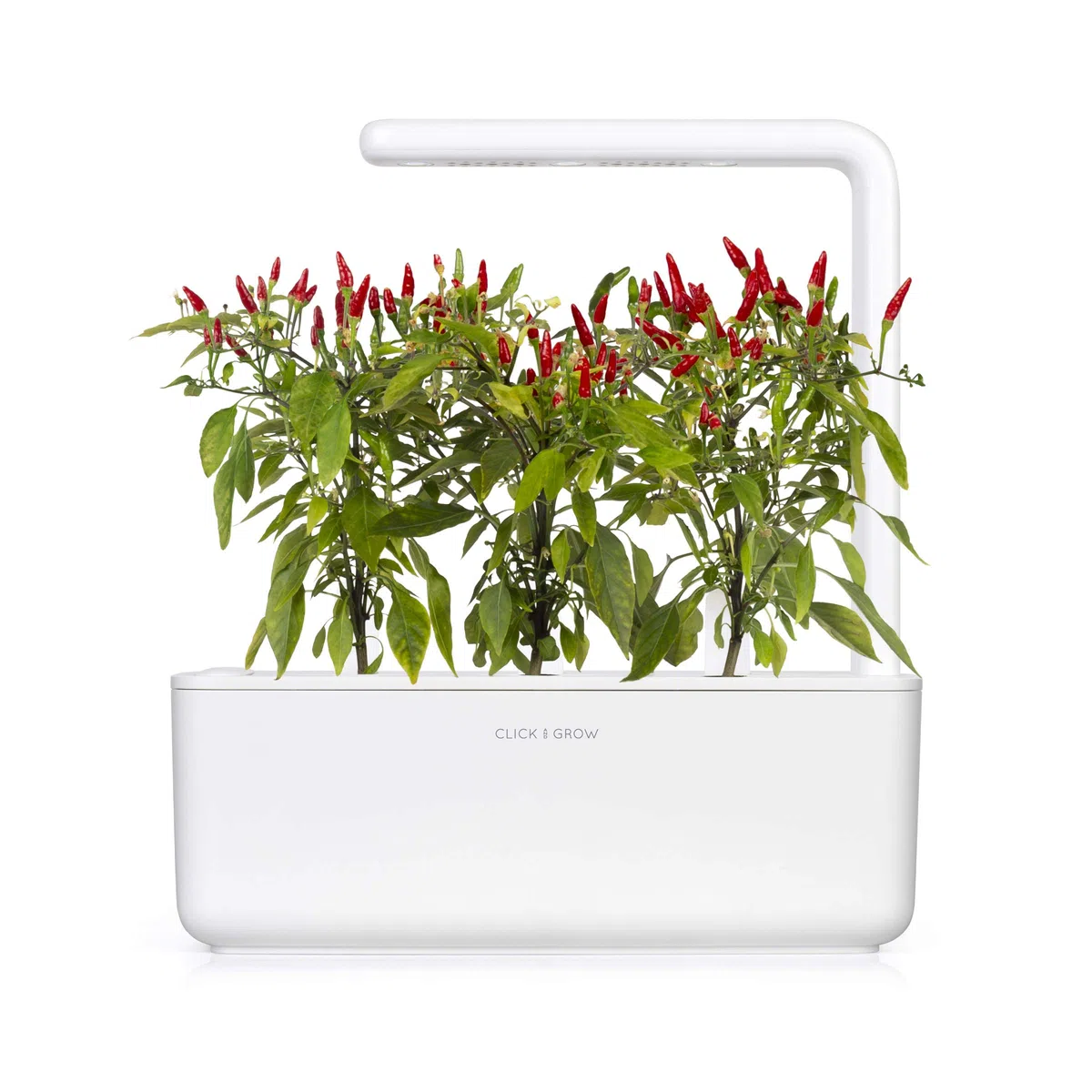 Click and Grow Smart Garden Piri Piri Chili Pflanzenkapseln, 3er-Pack