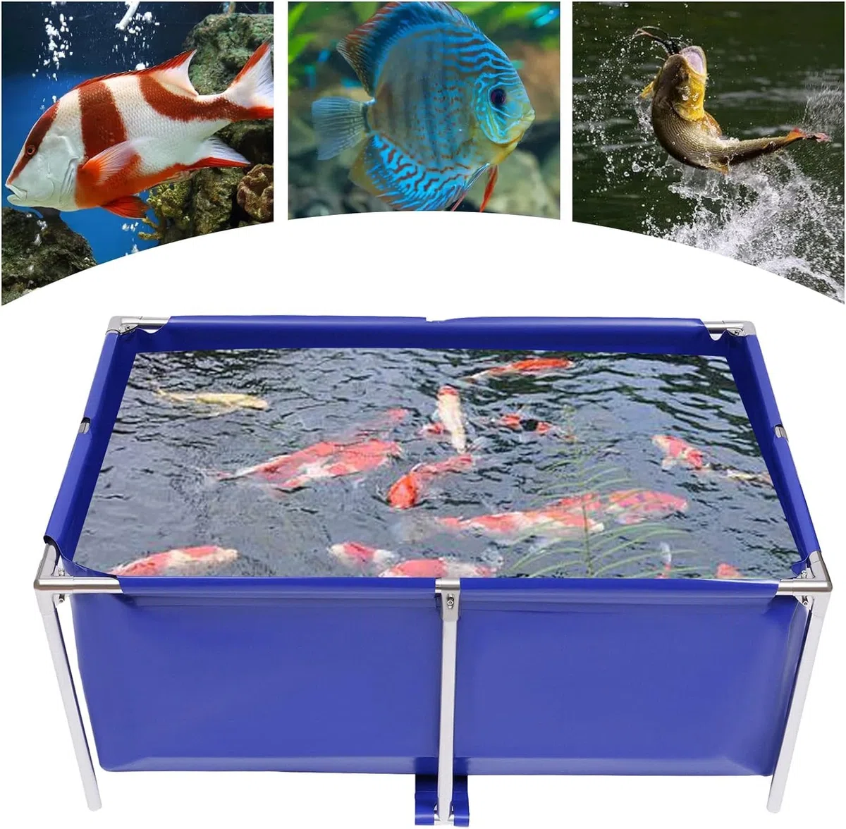 Faltbarer Koi-teich – Tragbarer Oberirdischer Wasserbehälter Für Aquarien Und Fischzucht – Strapazierfähiges Canvas-Becken Für Den Innen- Und Außenbereich